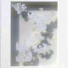 Yvonne Kieft - Dynamic organics I, 24x19x3.5 cm, 2015