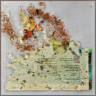 Yvonne Kieft - Dynamic organics 'Into my Garden II', papier mixed media plexiglas 22x22x4 cm, 2016