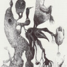 Peter Oosterhout - Tekening 23, 14x19
