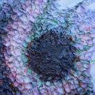 'Bloessen donker', Maja Vucetic